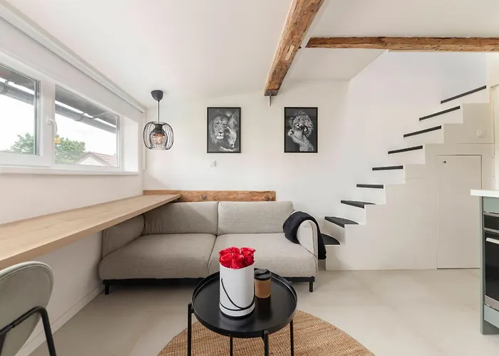 Nensi 卢布尔雅那